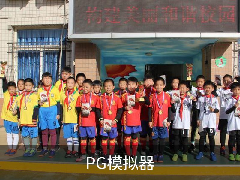 关于PG模拟器